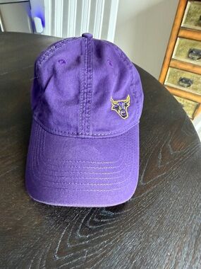 Purple (adult) Baseball Cap with Yellow Bull Logo